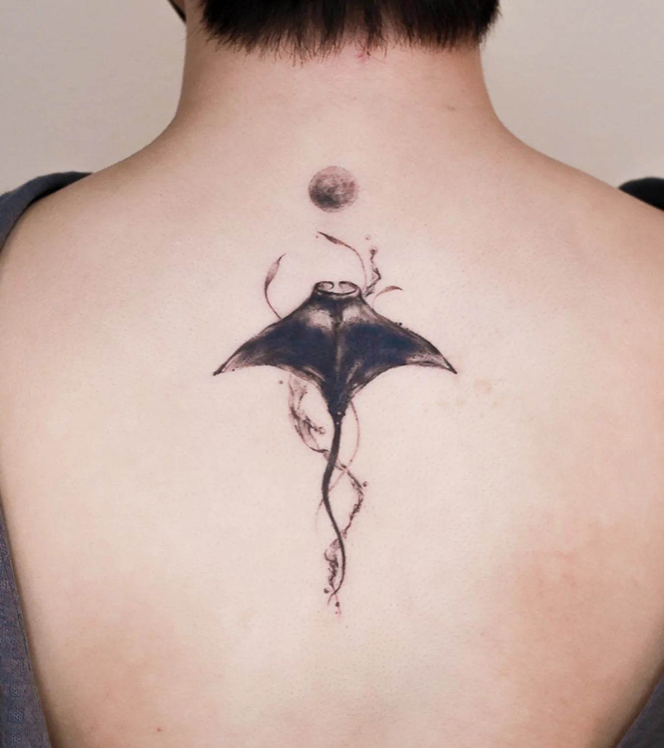 Manta Ray 대표 이미지