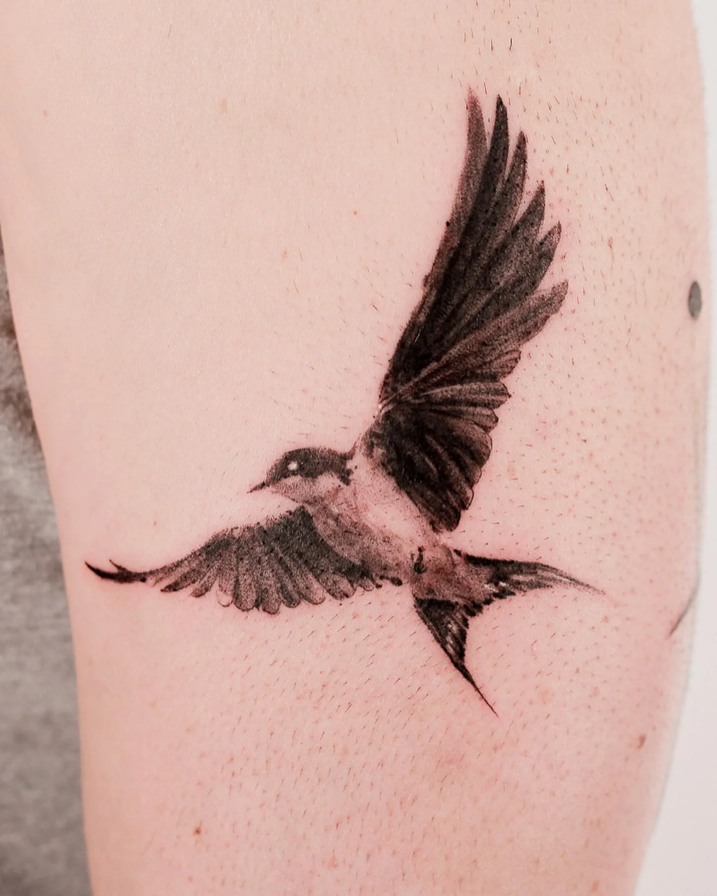 Flying Bird 대표 이미지