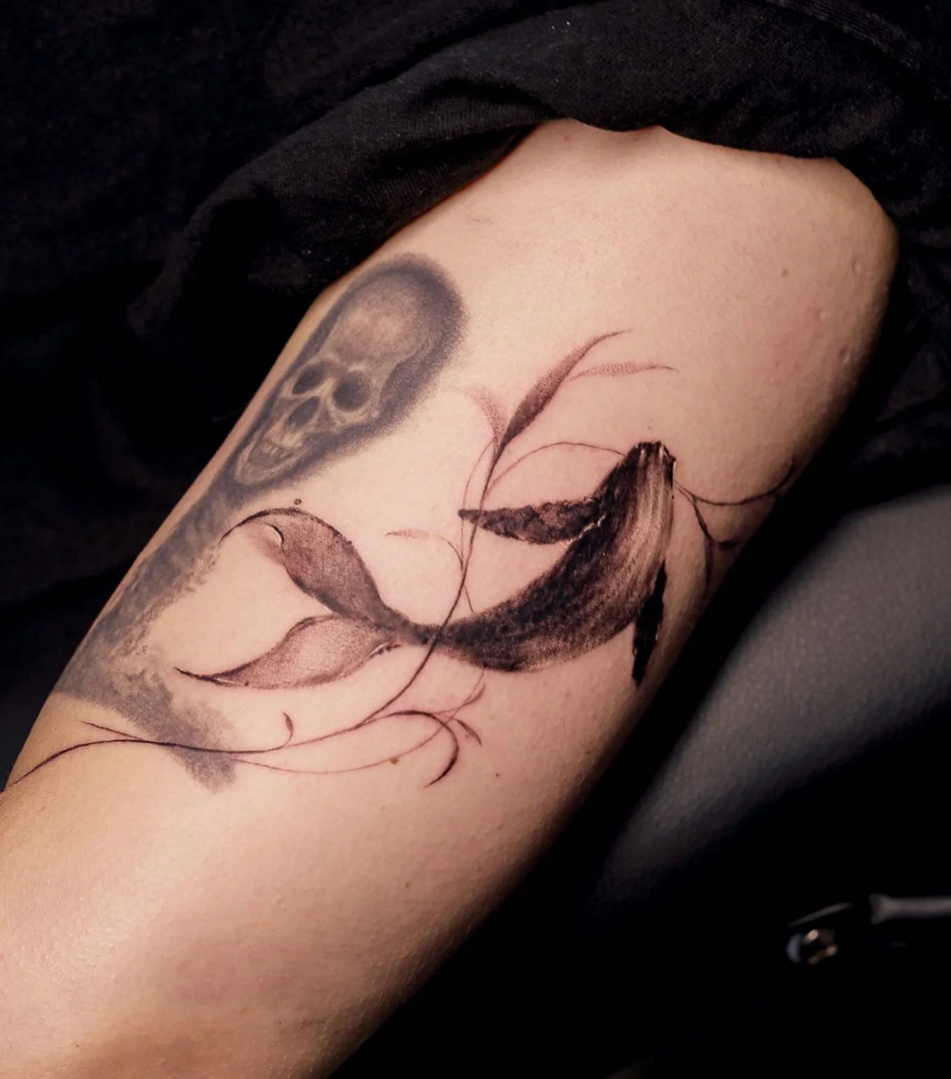 Black Bird Branch 대표 이미지