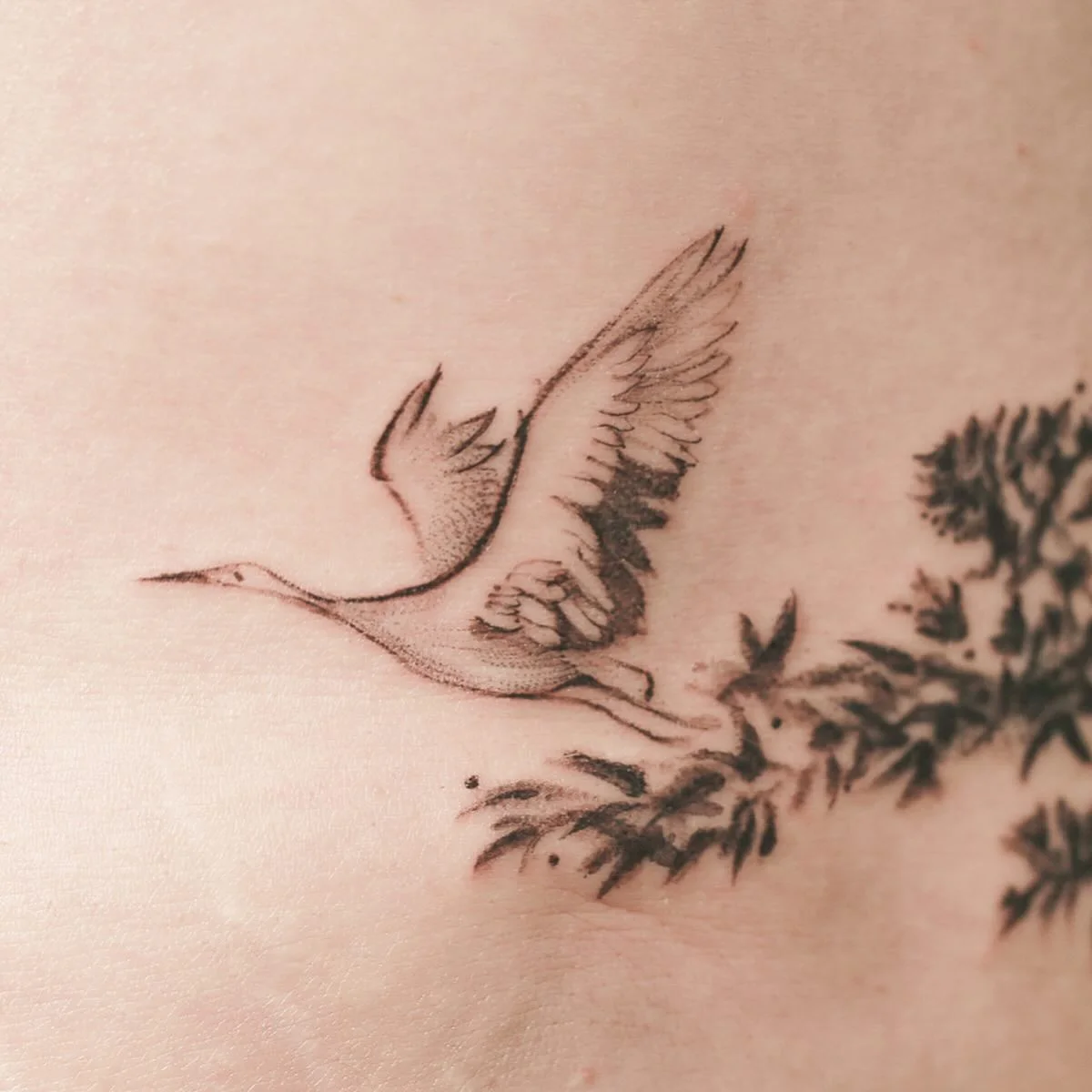 @sickattoo Tattoo 2024.04.10 2