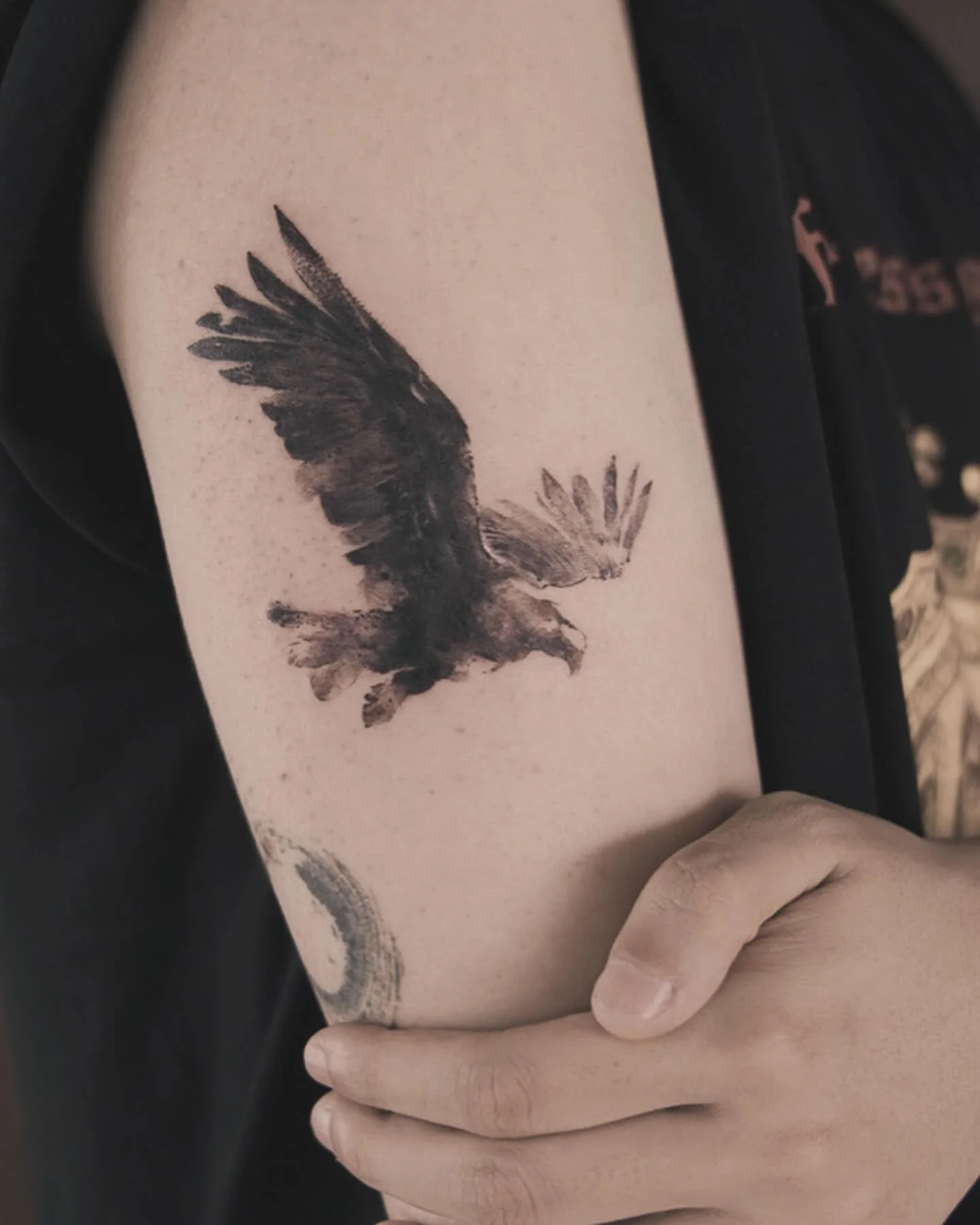 Crow on Arm 대표 이미지