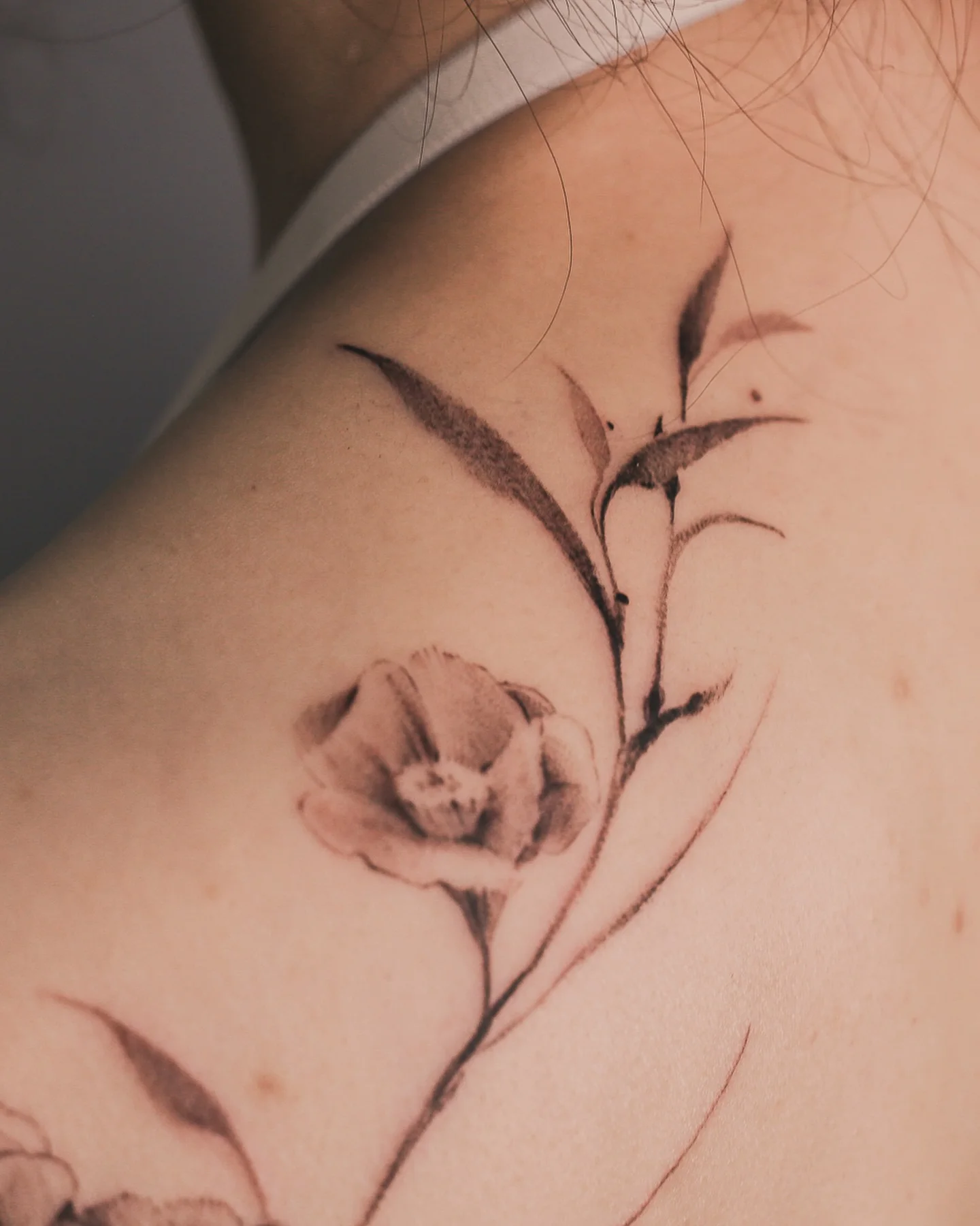 @sickattoo Tattoo 2024.09.12 4